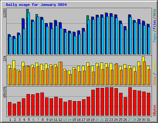 Daily usage for January 2024
