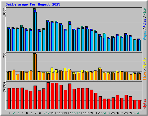 Daily usage for August 2025