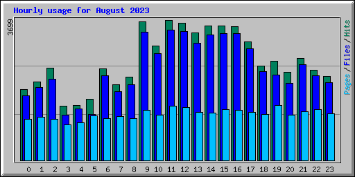 Hourly usage for August 2023