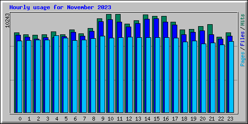 Hourly usage for November 2023