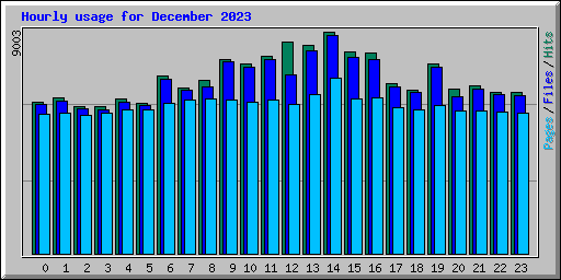 Hourly usage for December 2023