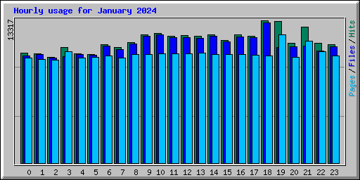Hourly usage for January 2024