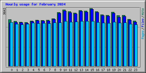 Hourly usage for February 2024
