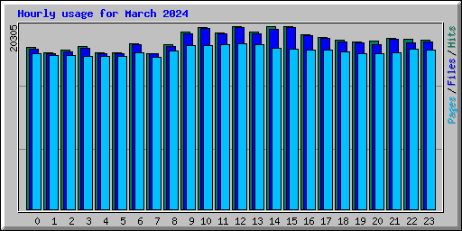 Hourly usage for March 2024
