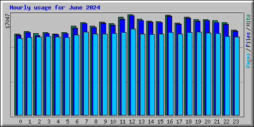 Hourly usage for June 2024