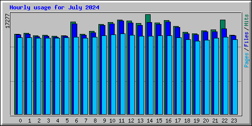 Hourly usage for July 2024