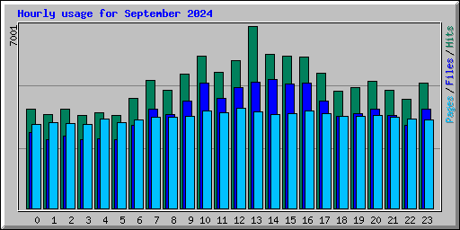 Hourly usage for September 2024