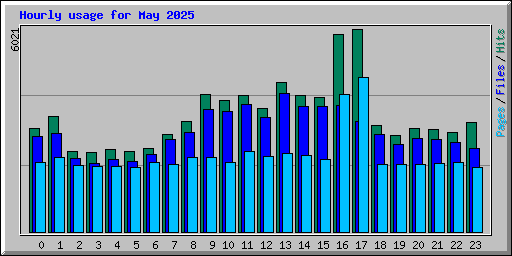 Hourly usage for May 2025