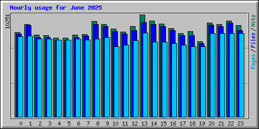 Hourly usage for June 2025