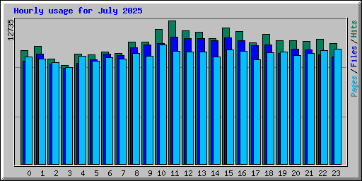 Hourly usage for July 2025