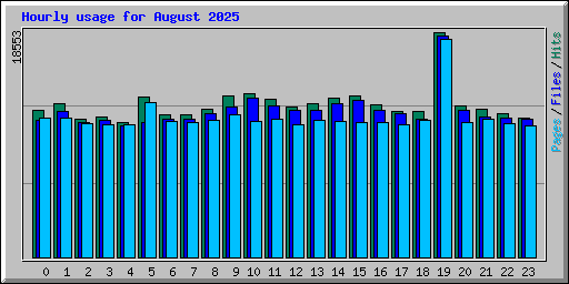 Hourly usage for August 2025