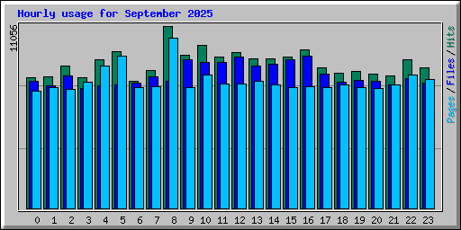 Hourly usage for September 2025