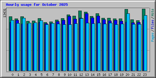 Hourly usage for October 2025