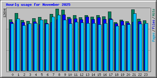 Hourly usage for November 2025
