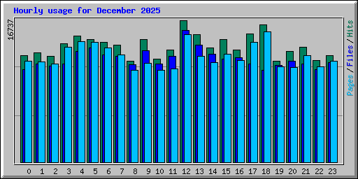 Hourly usage for December 2025