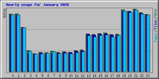 Hourly usage for January 2026